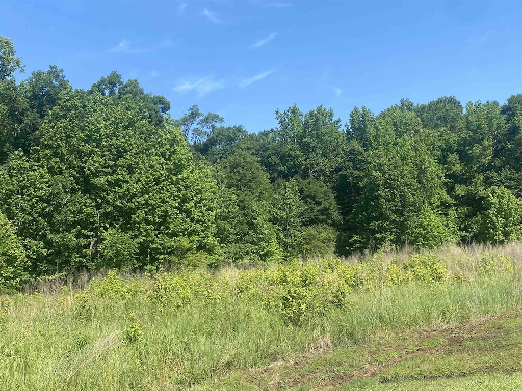 LOT24AND25 Cinel Loop, Austin, AR 72007