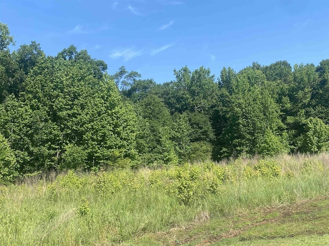 LOT24AND25 Cinel Loop, Austin, AR 72007