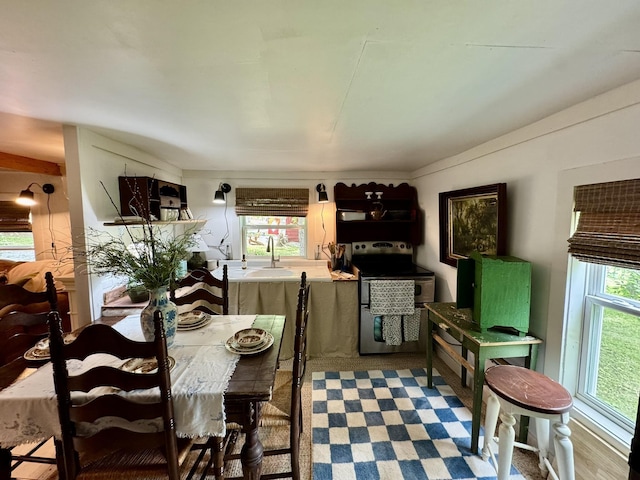 2645 Jumbo Rd, Melbourne, AR 72556 - view of dining room