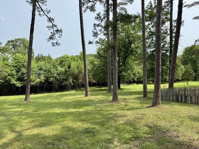 2645 Jumbo Rd, Melbourne, AR 72556 - view of yard