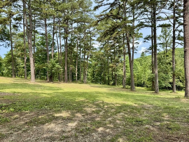 2645 Jumbo Rd, Melbourne, AR 72556 - view of green lawn featuring a forest view