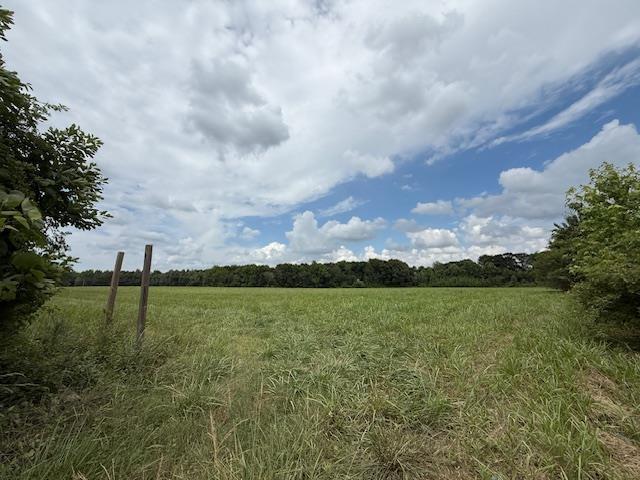 2-12ACTRACTS 761st Rd, Paragould, AR 72450