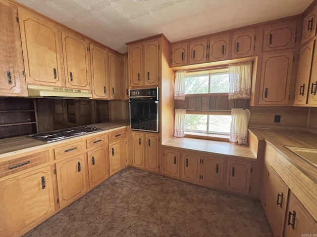 203 N Bayou, Mountain View, AR 72560 - kitchen with oven, under cabinet range hood, stainless steel stovetop, light countertops, and decorative backsplash