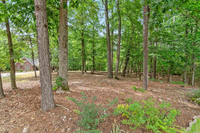 1 Sacedon Cir, Hot Springs Village, AR 71909