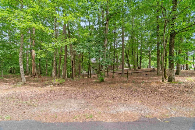1 Sacedon Cir, Hot Springs Village, AR 71909