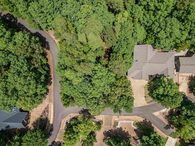 1 Sacedon Cir, Hot Springs Village, AR 71909