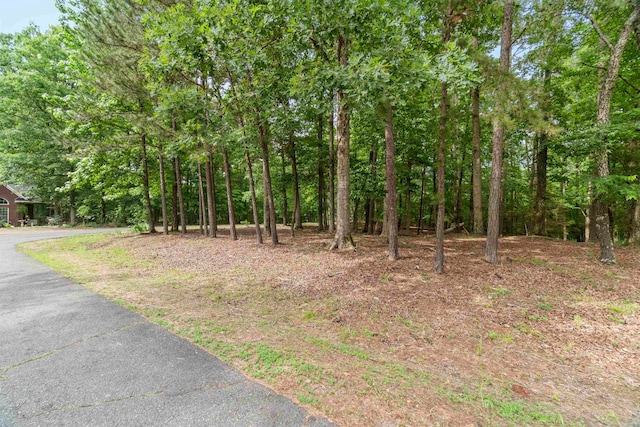 1 Sacedon Cir, Hot Springs Village, AR 71909