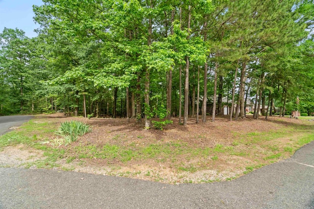 1 Sacedon Cir, Hot Springs Village, AR 71909