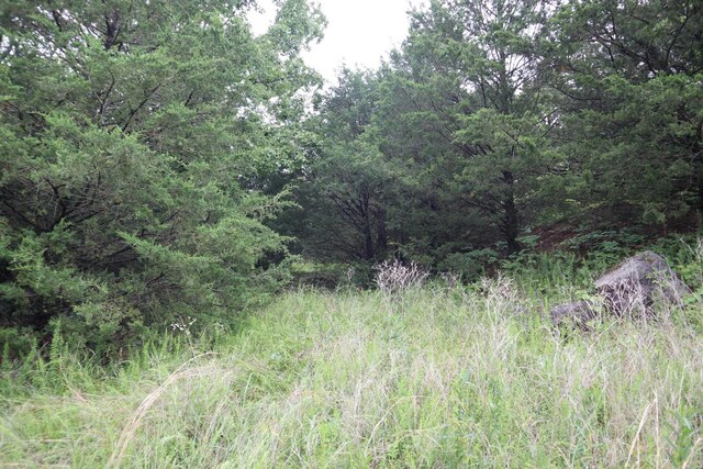 TBD Highway 9 S, Salem, AR 72576