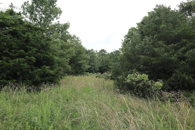 TBD Highway 9 S, Salem, AR 72576