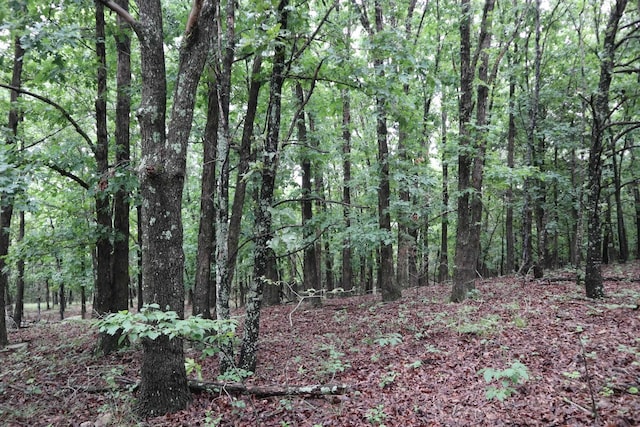 TBD Highway 9 S, Salem, AR 72576