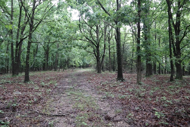 TBD Highway 9 S, Salem, AR 72576
