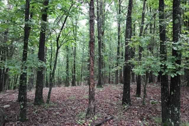 TBD Highway 9 S, Salem, AR 72576