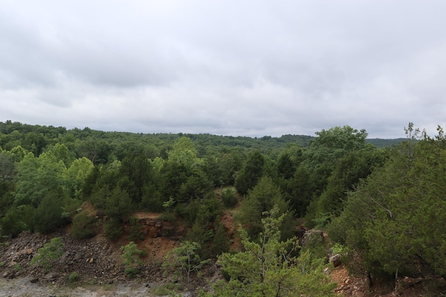 TBD Highway 9 S, Salem, AR 72576