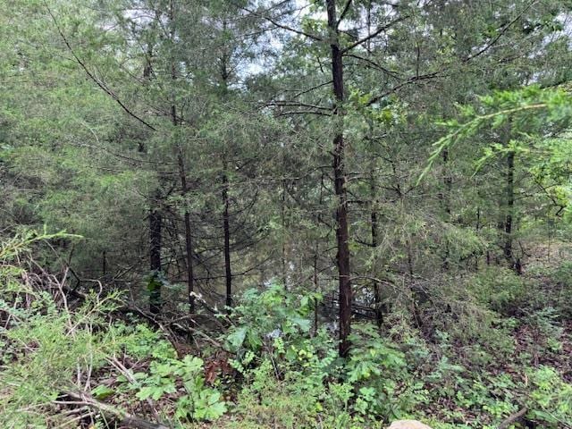 TBD Highway 9 S, Salem, AR 72576