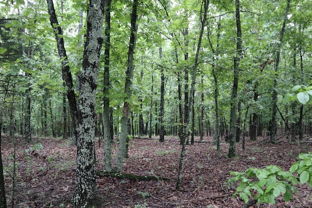 TBD Highway 9 S, Salem, AR 72576