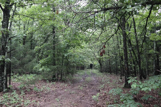 TBD Highway 9 S, Salem, AR 72576