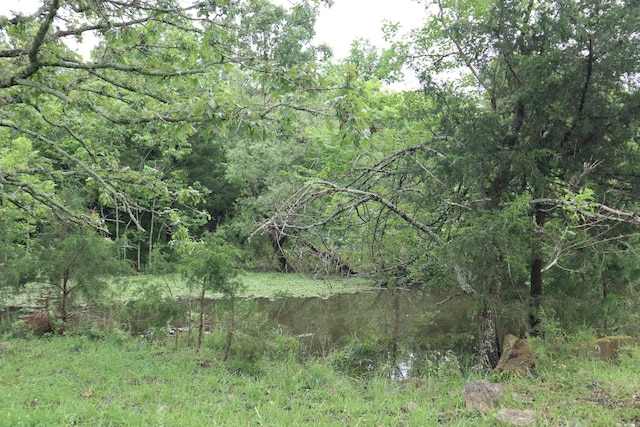 TBD Highway 9 S, Salem, AR 72576