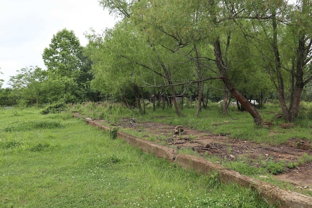 TBD Highway 9 S, Salem, AR 72576