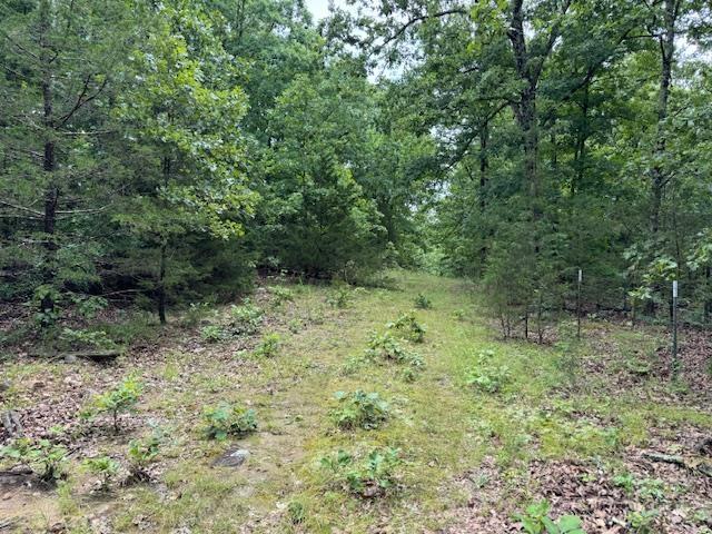 TBD Highway 9 S, Salem, AR 72576