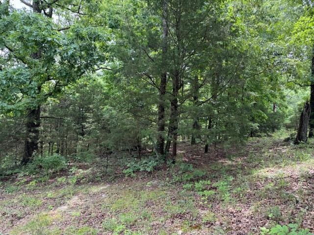 TBD Highway 9 S, Salem, AR 72576