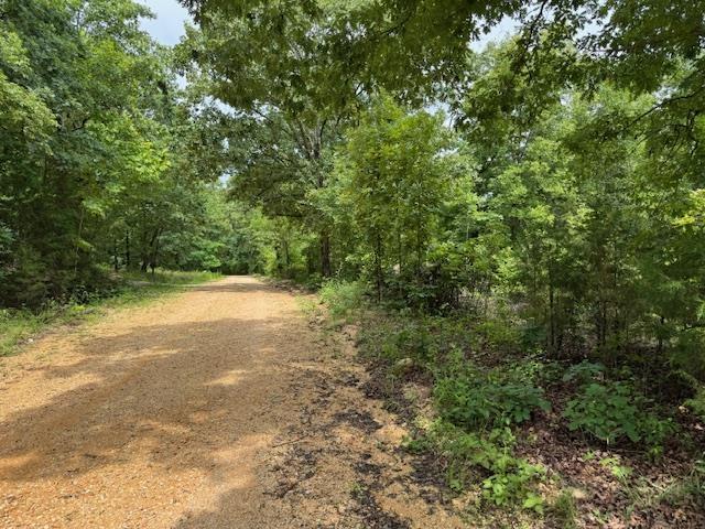 TBD Highway 9 S, Salem, AR 72576