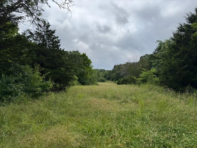 TBD Highway 9 S, Salem, AR 72576