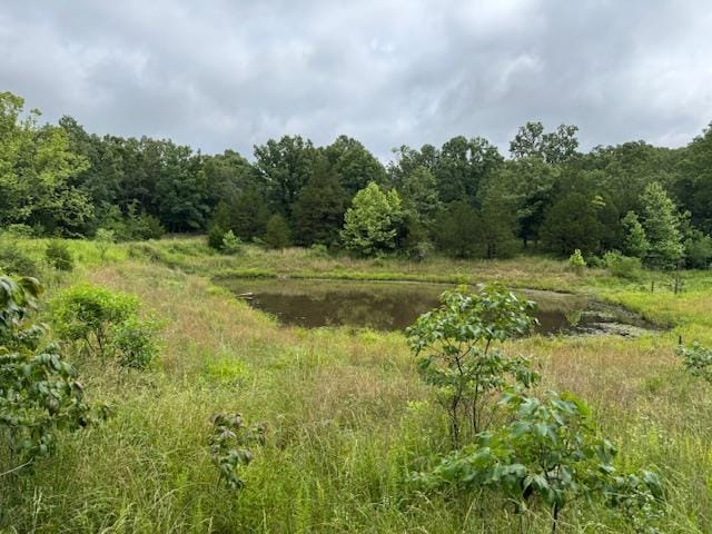 TBD Highway 9 S, Salem, AR 72576