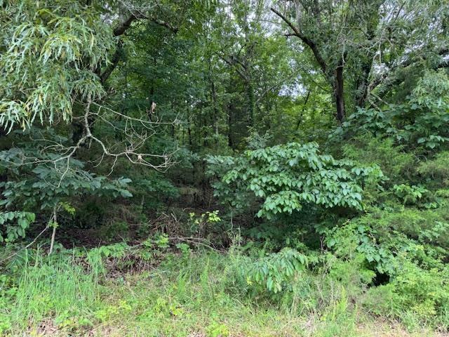 TBD Highway 9 S, Salem, AR 72576
