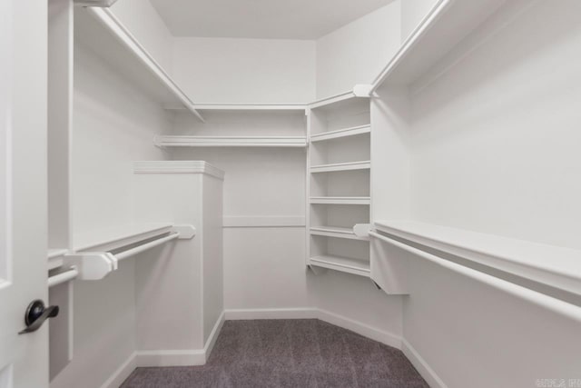 34 Chemin Ct, Little Rock, AR 72223 - spacious closet featuring carpet