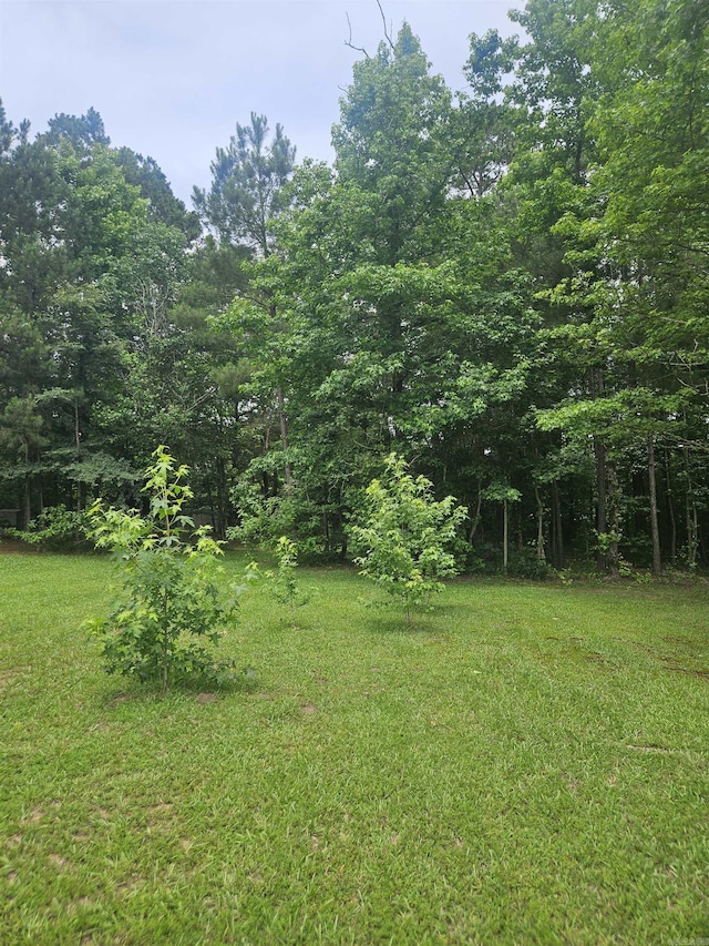 TBD Dildy Rd, Nashville, AR 71852