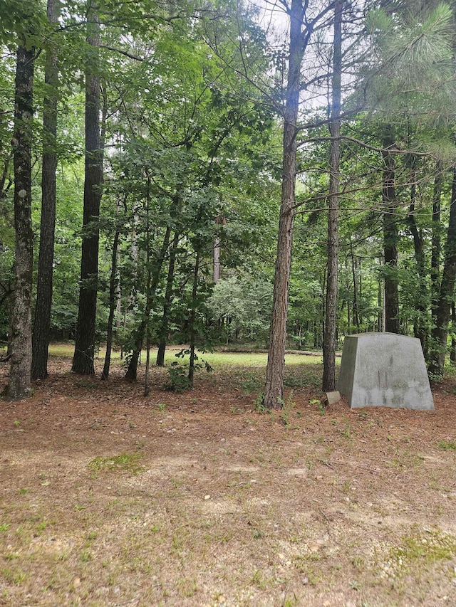 TBD Dildy Rd, Nashville, AR 71852
