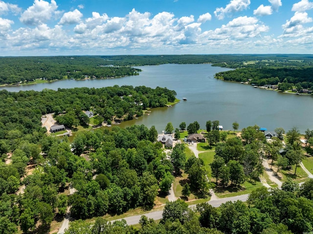 505 E Tri Lks, Horseshoe Bend, AR 72512 - drone / aerial view of a heavily wooded area and a nearby body of water