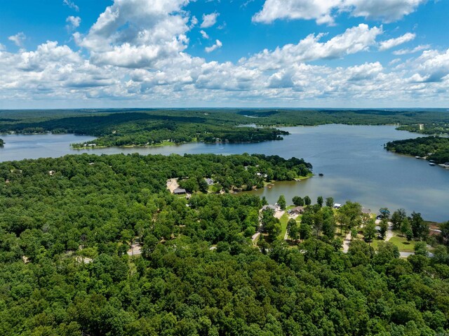 505 E Tri Lks, Horseshoe Bend, AR 72512 - bird's eye view of a forest and a nearby body of water