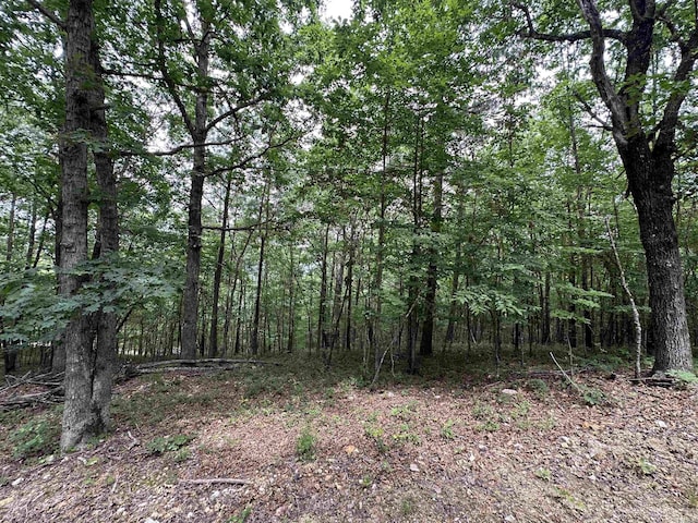 TBD Timber Ln, Mena, AR 71953