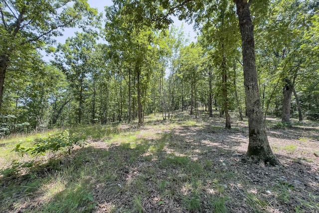 TBD Timber Ln, Mena, AR 71953