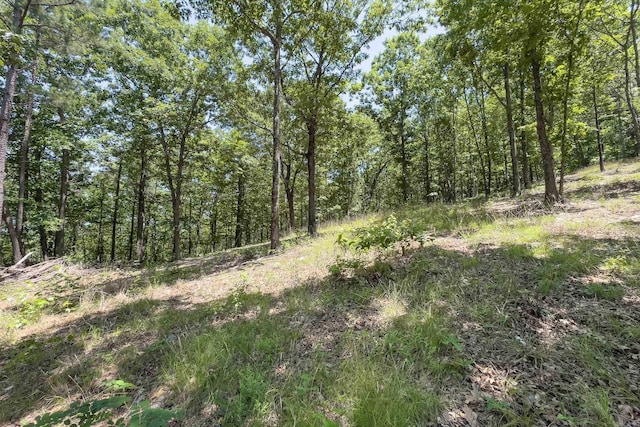 TBD Timber Ln, Mena, AR 71953