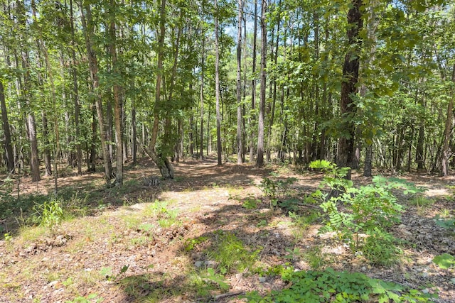 TBD Timber Ln, Mena, AR 71953