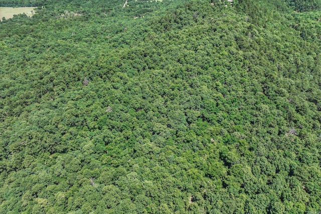 TBD Timber Ln, Mena, AR 71953