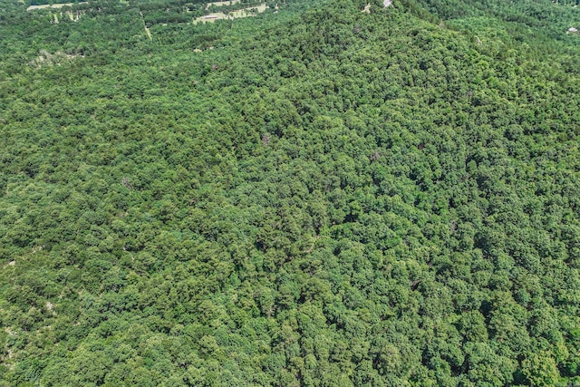 TBD Timber Ln, Mena, AR 71953