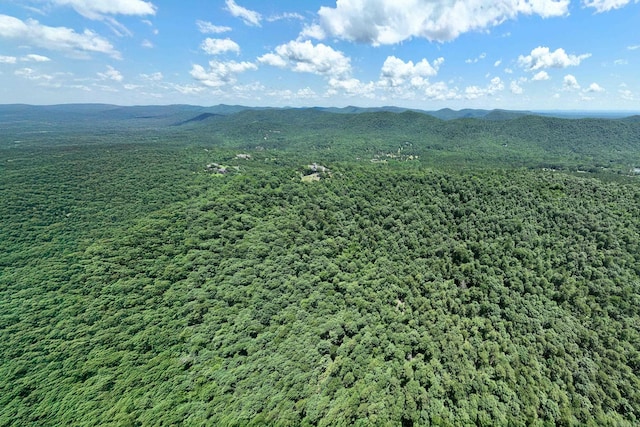 TBD Timber Ln, Mena, AR 71953