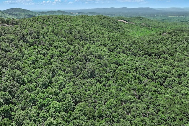 TBD Timber Ln, Mena, AR 71953