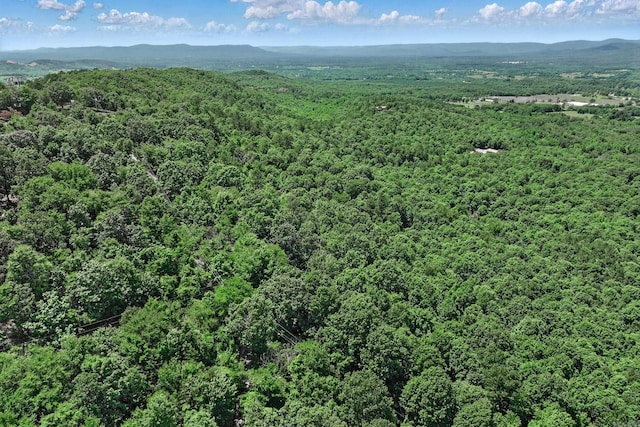 TBD Timber Ln, Mena, AR 71953