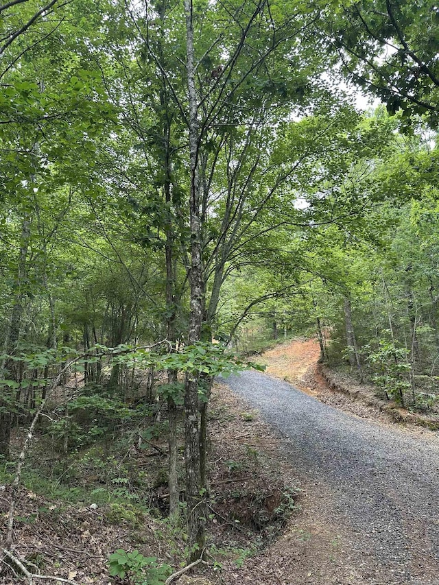 TBD Timber Ln, Mena, AR 71953