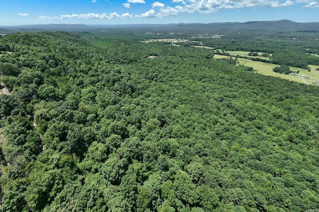 TBD Timber Ln, Mena, AR 71953