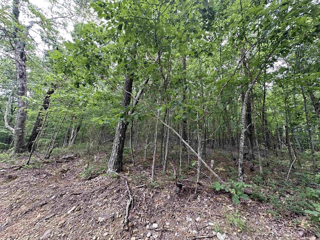 TBD Timber Ln, Mena, AR 71953