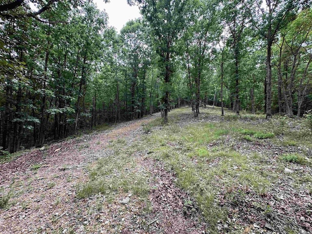 TBD Timber Ln, Mena, AR 71953