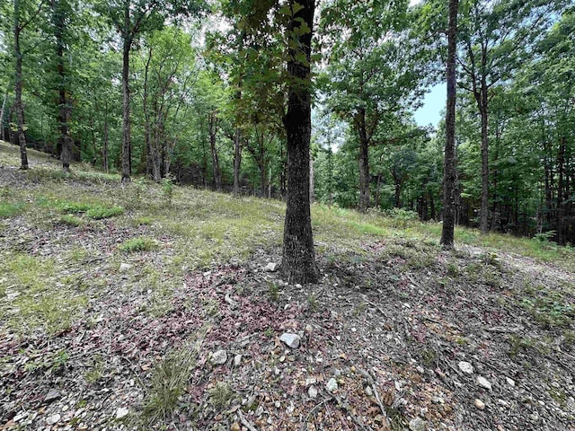 TBD Timber Ln, Mena, AR 71953