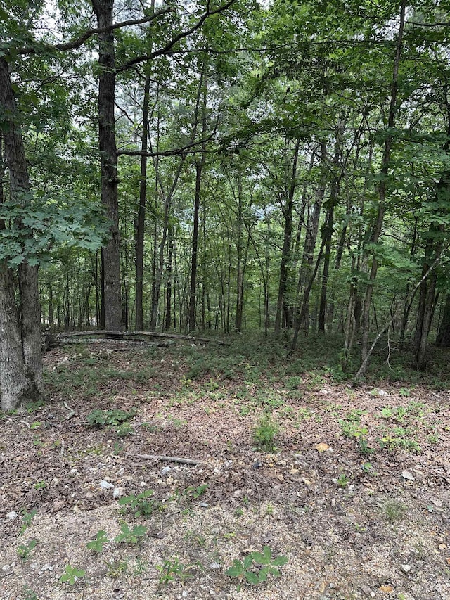TBD Timber Ln, Mena, AR 71953
