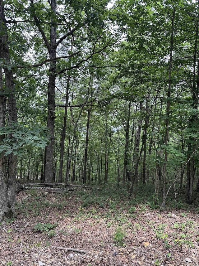 TBD Timber Ln, Mena, AR 71953